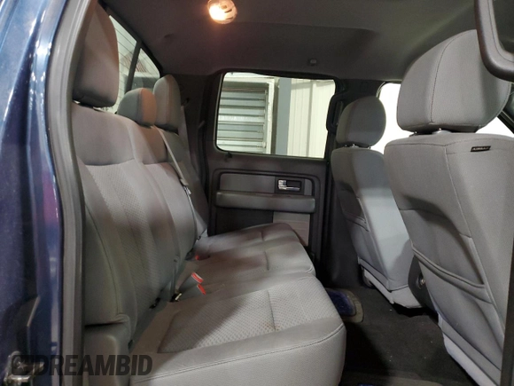 2013 Ford F-150 XL with VIN 1FTFW1ET1DKG51049, listed as a Copart auction lot 44202195 with 133,415 mi miles and Salvage Title. Bid and sale history available at carsss.com. Image 10.