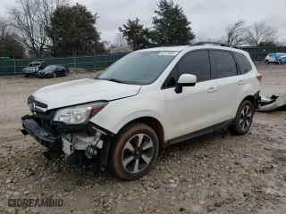 2017 Subaru Forester Premium with VIN JF2SJAGC9HH492439, listed as a Copart auction lot 42779895 with 171,698 mi miles and Salvage Title. Bid and sale history available at carsss.com. Image 1.