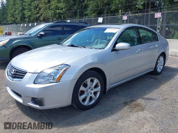 2007 Nissan Maxima SE with VIN 1N4BA41E77C862623, listed as a IAAI auction lot 42660896 with 117,276 mi miles and . Bid and sale history available at DreamBid. Image 6.