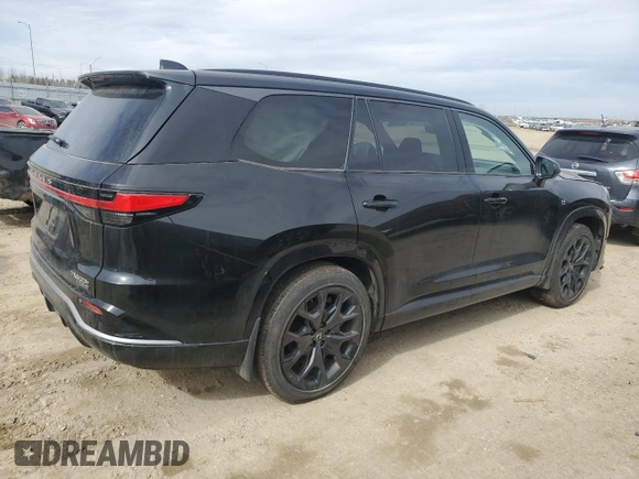 2024 Lexus TX 500h F Sport Premium with VIN 5TDABAB67RS002540, listed as a Copart auction lot 51972905 with Not provided miles and Non repairable. Bid and sale history available at DreamBid. Image 3.