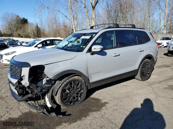 2021 Kia Telluride EX with VIN 5XYP3DHC2MG167665, listed as a Copart auction lot 44982415 with 30,644 mi miles and Salvage Title. Bid and sale history available at carsss.com. Image 1.