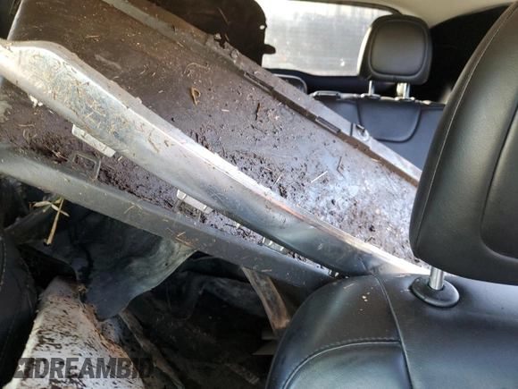 2017 Jeep Cherokee Limited with VIN 1C4PJLDS1HW541639, listed as a Copart auction lot 89288465 with Not Provided miles and Salvage Title. Bid and sale history available at carsss.com. Image 10.
