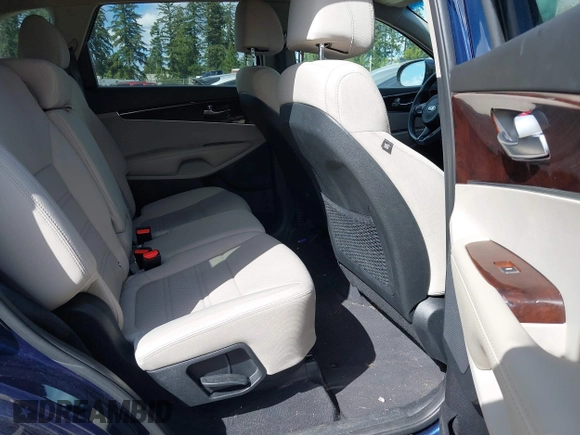 2017 Kia Sorento LX with VIN 5XYPGDA51HG335348, listed as a IAAI auction lot 42085131 with 191,601 mi miles and . Bid and sale history available at carsss.com. Image 8.