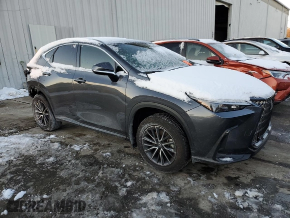 2024 Lexus NX with VIN 2T2AGCEZ9RC057644, listed as a Copart auction lot 89156795 with 0 mi miles and Salvage Title. Bid and sale history available at carsss.com. Image 4.
