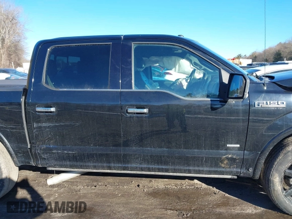 2017 Ford F-150 XL with VIN 1FTEW1EGXHFB14984, listed as a IAAI auction lot 41546709 with 132,132 mi miles. Bid and sale history available at carsss.com. Image 13.