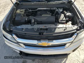 2019 Chevrolet Colorado 2WD LT with VIN 1GCGSCEA6K1170680, listed as a Copart auction lot 79111274 with 142,025 mi miles and Salvage title. Bid and sale history available at DreamBid. Image 11.