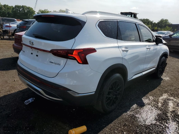 2021 Hyundai Santa Fe Hybrid SEL Premium with VIN KM8S3DA19MU012172, listed as a Copart auction lot 65465524 with NaN miles and Salvage Title. Bid and sale history available at carsss.com. Image 3.