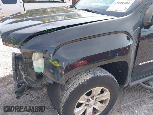 2018 GMC Canyon 2WD Elevation with VIN 1GTH5CEN0J1226982, listed as a IAAI auction lot 42493104 with 204,424 mi miles and . Bid and sale history available at DreamBid. Image 19.