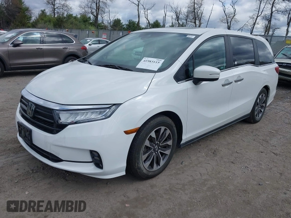 2022 Honda Odyssey EX-L с VIN 5FNRL6H74NB048872, выставлен на аукционе IAAI как лот 41983115 с пробегом 37 174 миль миль и . История ставок и продаж доступна на DreamBid. Изображение 19.