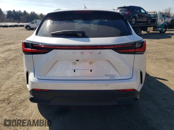2025 Lexus NX with VIN JTJGGCEZ7S5011079, listed as a Copart auction lot 46956335 with 1,959 mi miles and Salvage Title. Bid and sale history available at carsss.com. Image 6.