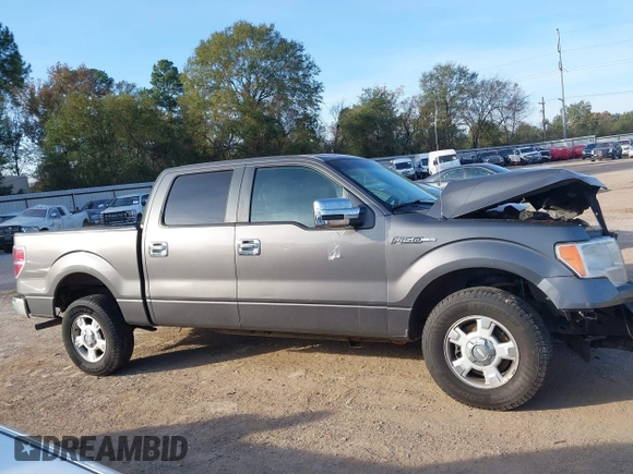 2010 Ford F-150 XL with VIN 1FTEW1C88AFA71456, listed as a IAAI auction lot 40961828 with 219,113 mi miles. Bid and sale history available at carsss.com. Image 13.