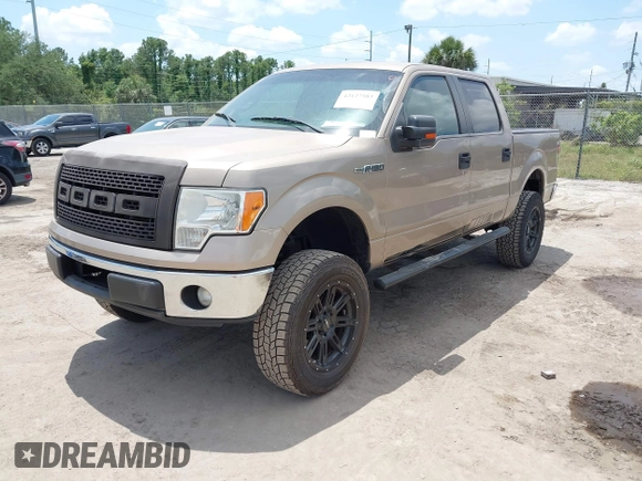 2012 Ford F-150 XL with VIN 1FTEW1CM5CKD32629, listed as a IAAI auction lot 42127583 with 257,949 mi miles. Bid and sale history available at carsss.com. Image 17.