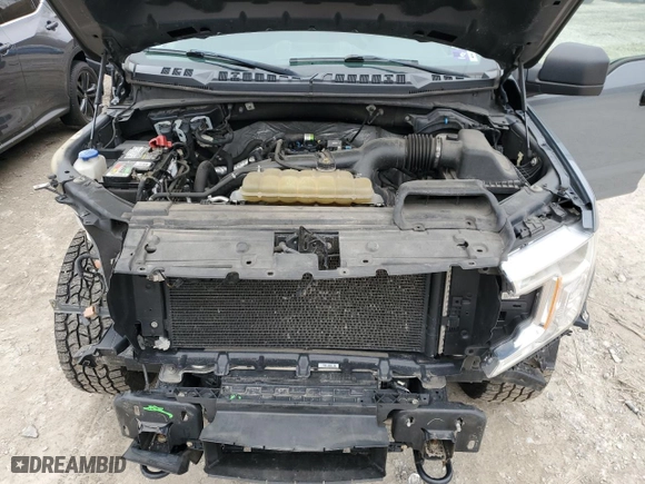 2019 Ford F-150 XL with VIN 1FTEW1EP5KKD62994, listed as a Copart auction lot 43589865 with 150,827 mi miles and Salvage Title. Bid and sale history available at carsss.com. Image 11.