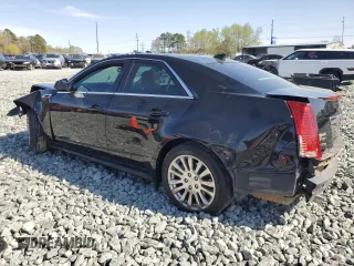 2011 Cadillac CTS Performance with VIN 1G6DJ5ED2B0153556, listed as a Copart auction lot 50429865 with Not Provided miles and Salvage Title. Bid and sale history available at DreamBid. Image 2.