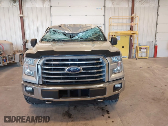 2017 Ford F-150 XL with VIN 1FTEW1EF9HFC07955, listed as a IAAI auction lot 41848255 with 196,125 mi miles. Bid and sale history available at carsss.com. Image 12.