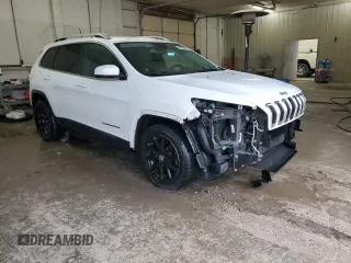 2016 Jeep Cherokee Latitude with VIN 1C4PJLCS2GW191793, listed as a Copart auction lot 48068385 with 170,120 mi miles and Salvage Title. Bid and sale history available at carsss.com. Image 4.