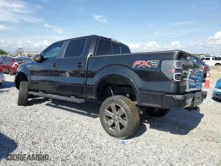 2013 Ford F-150 XL with VIN 1FTFW1CF1DKG41439, listed as a Copart auction lot 50168925 with 113,320 mi miles and Salvage Title. Bid and sale history available at carsss.com. Image 2.