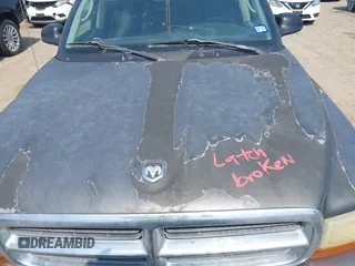 2002 Dodge Durango z VIN 1B4HR48NX2F113497, wystawiony jako IAAI lot #42152213 z przebiegiem Nie podano mil oraz . Historia ofert i sprzedaży dostępna na DreamBid. Obrazek 10.