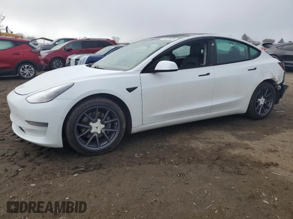 2021 Tesla Model 3 Standard Range Plus with VIN 5YJ3E1EA1MF066389, listed as a Copart auction lot 48053925 with 119,105 mi miles and Salvage Title. Bid and sale history available at carsss.com. Image 1.