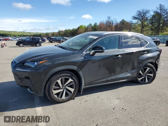 2019 Lexus NX 300 with VIN JTJBARBZ3K2203877, listed as a Copart auction lot 57160035 with 46,238 mi miles and Salvage title. Bid and sale history available at DreamBid. Image 1.