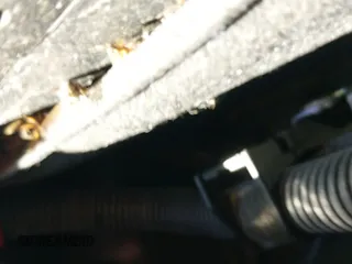 2020 Nissan Murano SL with VIN 5N1AZ2CS3LN163909, listed as a IAAI auction lot 41877401 with 70,580 mi miles and . Bid and sale history available at DreamBid. Image 20.