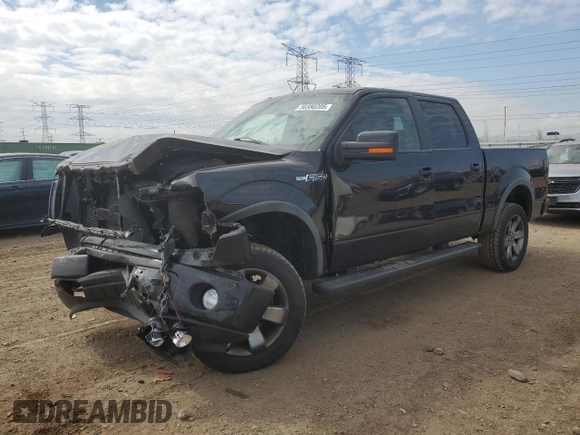 2011 Ford F-150 XL with VIN 1FTFW1EF5BKD29344, listed as a Copart auction lot 50380205 with 117,289 mi miles and Salvage Title. Bid and sale history available at DreamBid. Image 1.