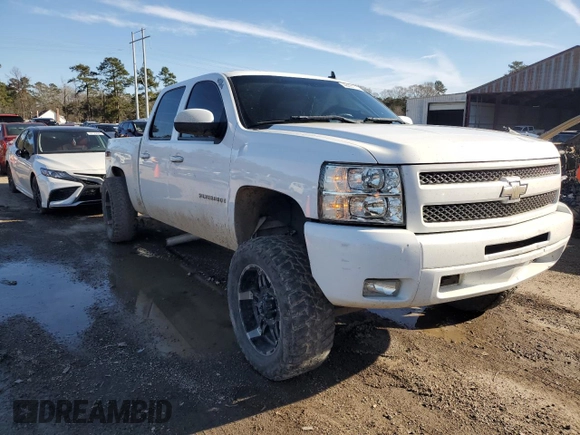 2009 Chevrolet Silverado 1500 LT with VIN 3GCEK23329G215535, listed as a Copart auction lot 46051705 with 173,940 mi miles and Salvage Title. Bid and sale history available at DreamBid. Image 4.