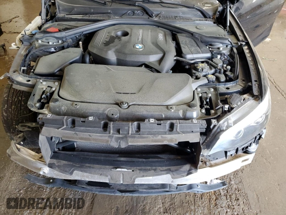 2018 BMW 2 Series 230i xDrive with VIN WBA2J3C52JVD48613, listed as a Copart auction lot 55119525 with 88,523 mi miles and Salvage title. Bid and sale history available at DreamBid. Image 11.