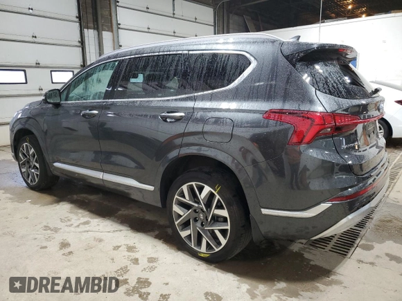 2023 Hyundai Santa Fe Calligraphy with VIN 5NMS5DAL6PH511782, listed as a Copart auction lot 58000945 with 31,566 mi miles and Salvage title. Bid and sale history available at DreamBid. Image 2.