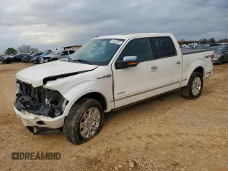 2013 Ford F-150 XL with VIN 1FTFW1ET5DFA53975, listed as a Copart auction lot 42052365 with 210,428 mi miles and Salvage Title. Bid and sale history available at carsss.com. Image 1.