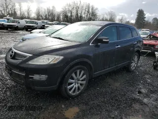 2009 Mazda CX-9 Grand Touring with VIN JM3TB38VX90180469, listed as a Copart auction lot 46530165 with 117,934 mi miles and Salvage Title. Bid and sale history available at carsss.com. Image 1.