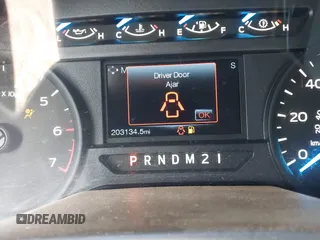 2015 Ford F-150 XL with VIN 1FTEW1CP3FKD56331, listed as a IAAI auction lot 42394322 with 203,134 mi miles and . Bid and sale history available at DreamBid. Image 7.