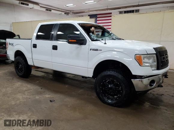 2012 Ford F-150 XL with VIN 1FTFW1EF5CKD45206, listed as a Copart auction lot 48471465 with 193,899 mi miles and Clean title. Bid and sale history available at DreamBid. Image 4.
