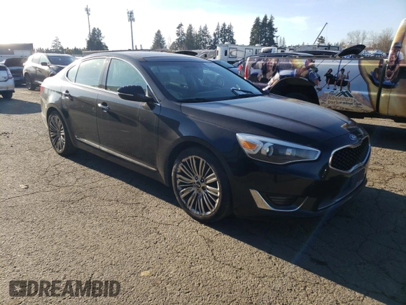 2014 Kia Cadenza Premium with VIN KNALN4D79E5144893, listed as a Copart auction lot 42008235 with 153,009 mi miles and Clean Title. Bid and sale history available at carsss.com. Image 4.