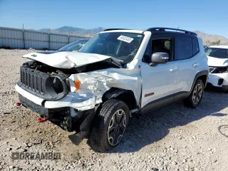 2016 Jeep Renegade Trailhawk with VIN ZACCJBCT0GPC61676, listed as a Copart auction lot 65653453 with Not provided miles and Salvage title. Bid and sale history available at DreamBid. Image 1.