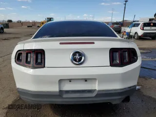 2010 Ford Mustang V6 with VIN 1ZVBP8AN8A5125021, listed as a Copart auction lot 55062725 with 163,880 mi miles and Salvage title. Bid and sale history available at DreamBid. Image 6.