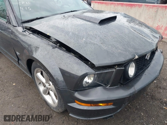 2008 Ford Mustang GT Deluxe with VIN 1ZVHT82HX85117723, listed as a IAAI auction lot 42015967 with 120,406 mi miles and . Bid and sale history available at carsss.com. Image 17.