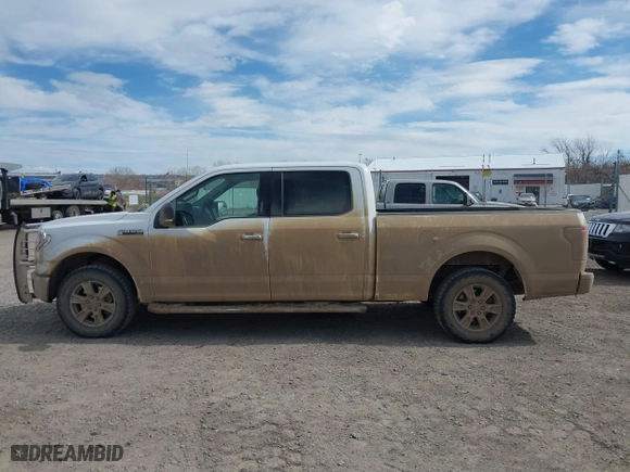2015 Ford F-150 XLT w/HD Payload Pkg with VIN 1FTFW1EF3FFB70225, listed as a IAAI auction lot 41890185 with 169,564 mi miles. Bid and sale history available at carsss.com. Image 14.