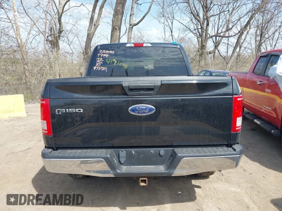 2017 Ford F-150 XL with VIN 1FTEW1EP8HFB36921, listed as a IAAI auction lot 41910478 with 138,201 mi miles. Bid and sale history available at carsss.com. Image 16.