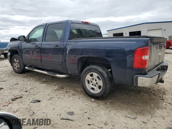 2009 Chevrolet Silverado 1500 LT with VIN 3GCEC23J19G183009, listed as a Copart auction lot 49624495 with 159,887 mi miles and Salvage Title. Bid and sale history available at carsss.com. Image 2.