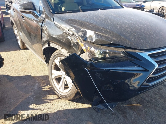 2017 Lexus NX with VIN JTJYARBZ3H2081119, listed as a IAAI auction lot 41256292 with 92,437 mi miles. Bid and sale history available at carsss.com. Image 6.