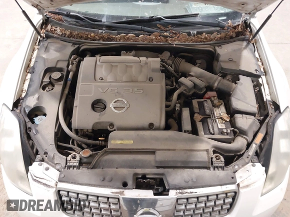 2005 Nissan Maxima SE z VIN 1N4BA41E55C816849, wystawiony jako IAAI lot #40978612 z przebiegiem 127 952 mil mil oraz . Historia ofert i sprzedaży dostępna na DreamBid. Obrazek 10.