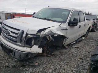 2009 Ford F-150 XL with VIN 1FTPW14V39FA77321, listed as a Copart auction lot 49598585 with 157,222 mi miles and Salvage title. Bid and sale history available at DreamBid. Image 1.