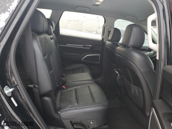 2020 Kia Telluride LX with VIN 5XYP2DHC0LG036221, listed as a Copart auction lot 42748155 with NaN miles and Salvage Title. Bid and sale history available at carsss.com. Image 11.