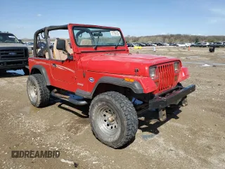 1993 Jeep Wrangler with VIN 1J4FY29S5PP239056, listed as a Copart auction lot 51708125 with 172,597 mi miles and Clean Title. Bid and sale history available at carsss.com. Image 4.