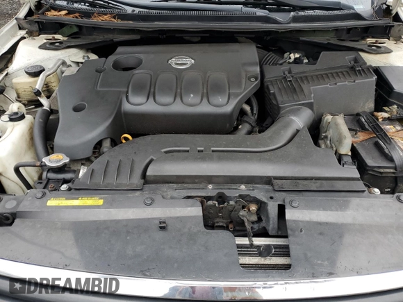 2009 Nissan Altima S with VIN 1N4AL21E49N496234, listed as a Copart auction lot 53232055 with 194,589 mi miles and Salvage Title. Bid and sale history available at DreamBid. Image 13.