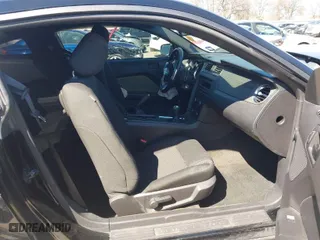 2013 Ford Mustang V6 with VIN 1ZVBP8AM8D5259572, listed as a IAAI auction lot 41655526 with 42,753 mi miles. Bid and sale history available at carsss.com. Image 5.