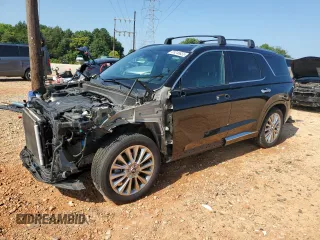 2020 Hyundai Palisade Limited with VIN KM8R5DHE8LU125319, listed as a Copart auction lot 63346655 with 119,955 mi miles and Salvage title. Bid and sale history available at DreamBid. Image 1.
