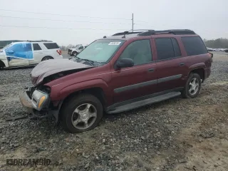 2005 Chevrolet TrailBlazer LS with VIN 1GNES16S356144846, listed as a Copart auction lot 43456755 with 261,236 mi miles and Non Repairable. Bid and sale history available at carsss.com. Image 1.