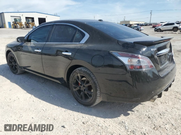 2013 Nissan Maxima SV with VIN 1N4AA5AP4DC817699, listed as a Copart auction lot 53532795 with 179,385 mi miles and Salvage title. Bid and sale history available at DreamBid. Image 2.